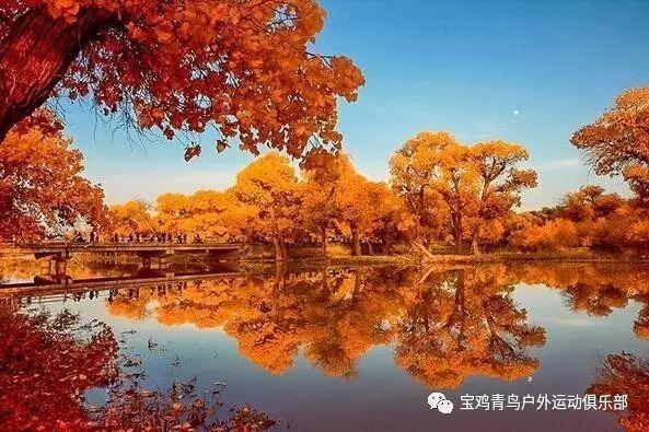 男生那里立起来是怎么回事？